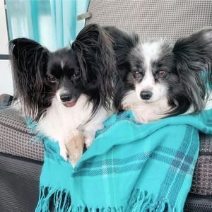 Meet your Posher, Kari